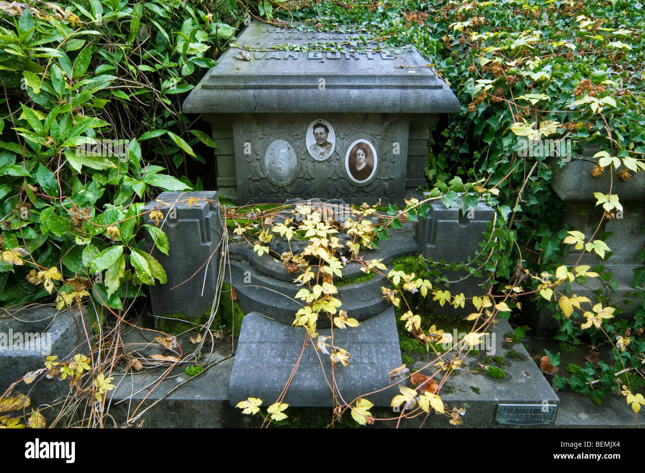 Old pictures on forgotten overgrown grave / tomb covered in vegetation at cemetery in autumn Stock Photo