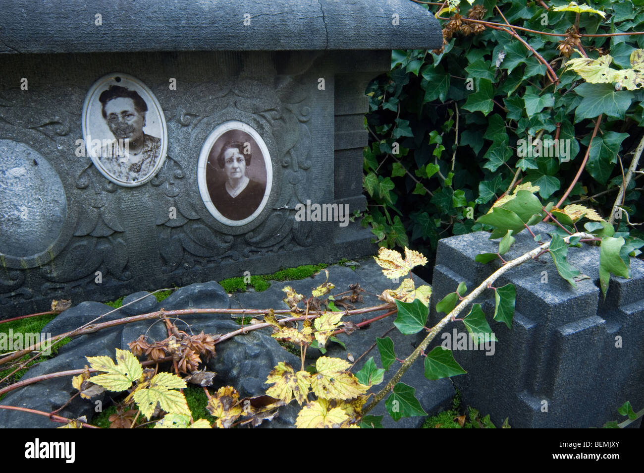 Old pictures on forgotten overgrown family grave / tomb covered in vegetation at cemetery in autumn Stock Photo