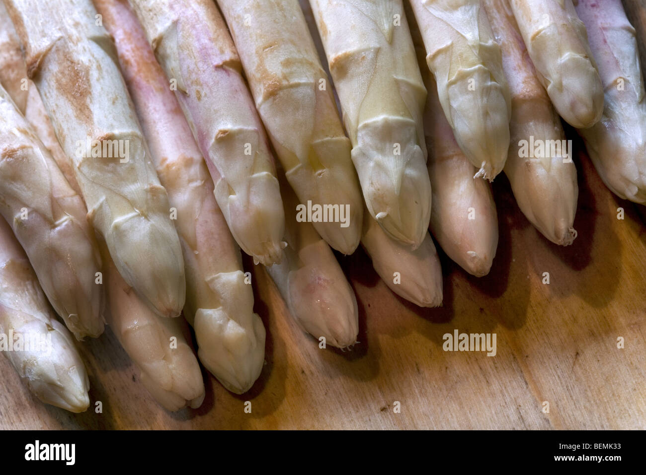 Bundle of harvested white asparagus (Asparagus officinalis) shoots for food consumption Stock Photo