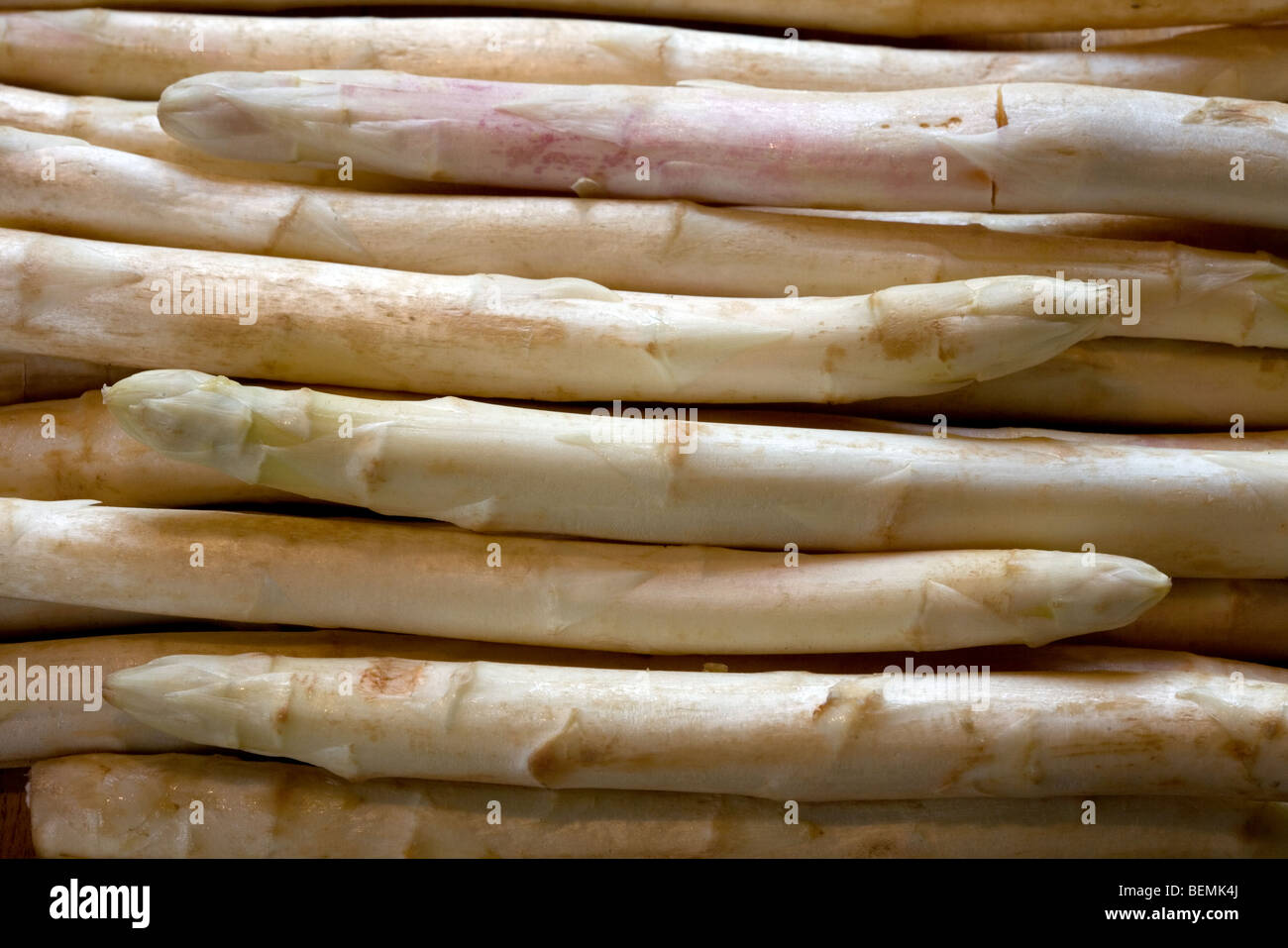 Bundle of harvested white asparagus (Asparagus officinalis) shoots for food consumption Stock Photo