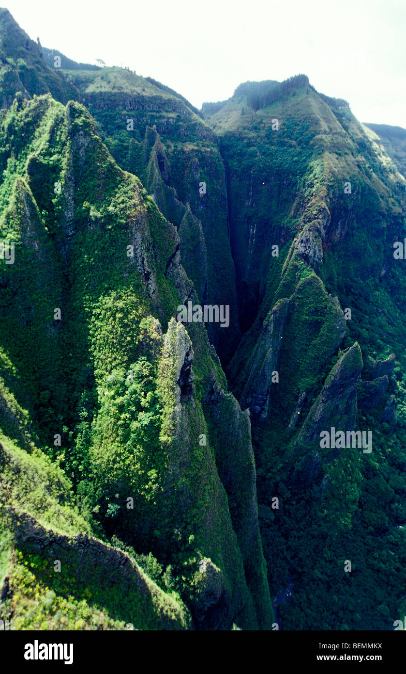 Calderalandscape with forests. Nuka Hiva. French Polynesia Marquesas ...