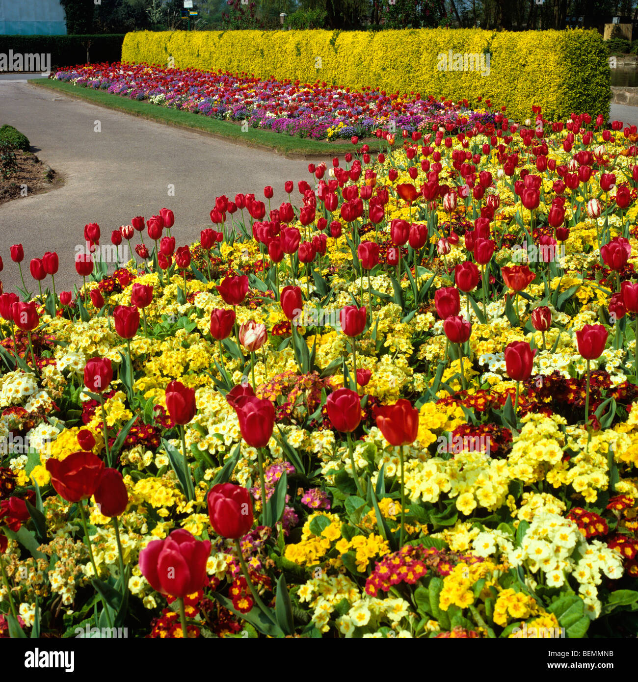Cheshire, Chester Zoo, springtime, Butterfly Garden Stock Photo Alamy