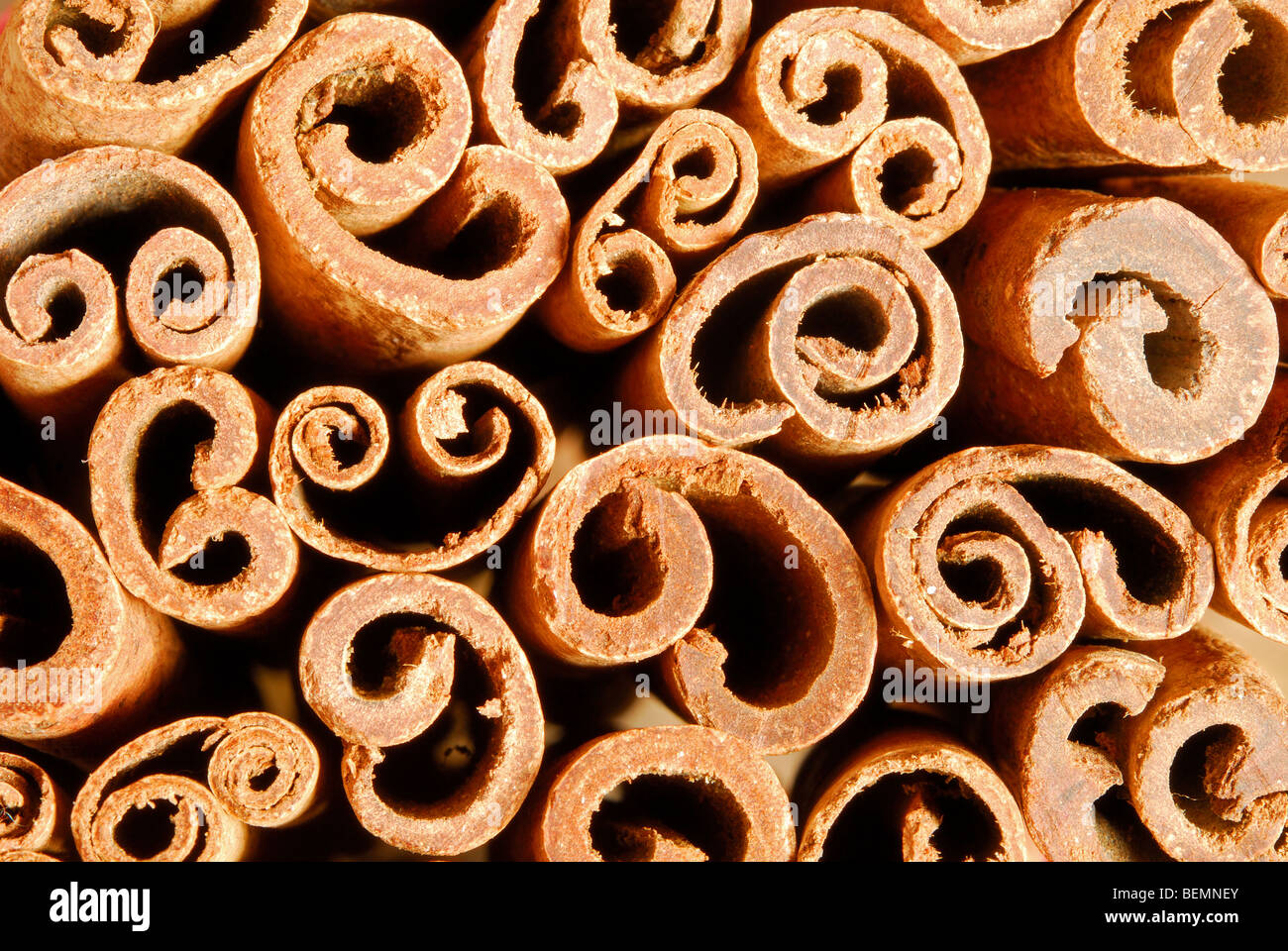 Cinnamon quills. Cinnamomum zeylanicum Stock Photo Alamy