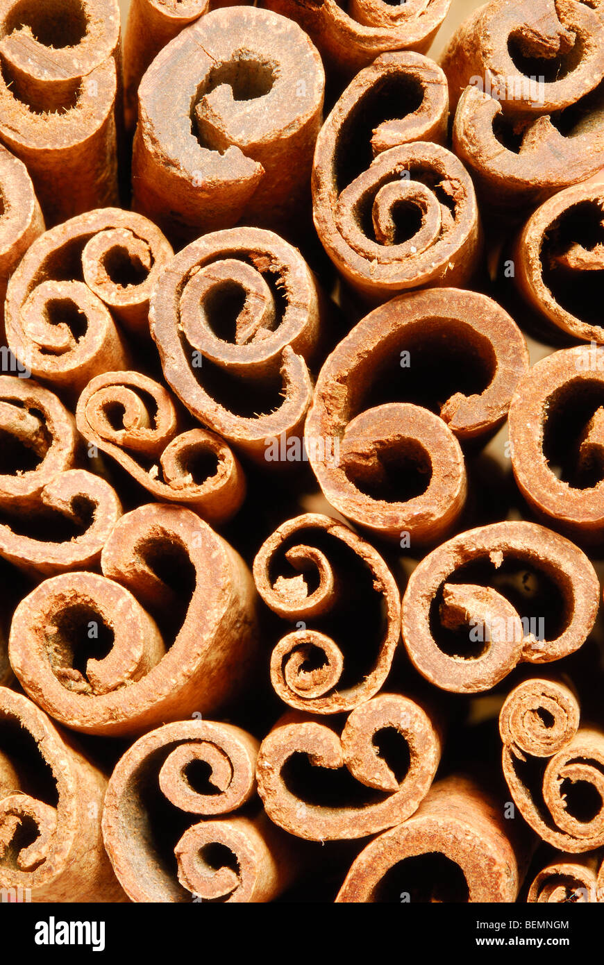 Cinnamon quills. Cinnamomum zeylanicum Stock Photo Alamy