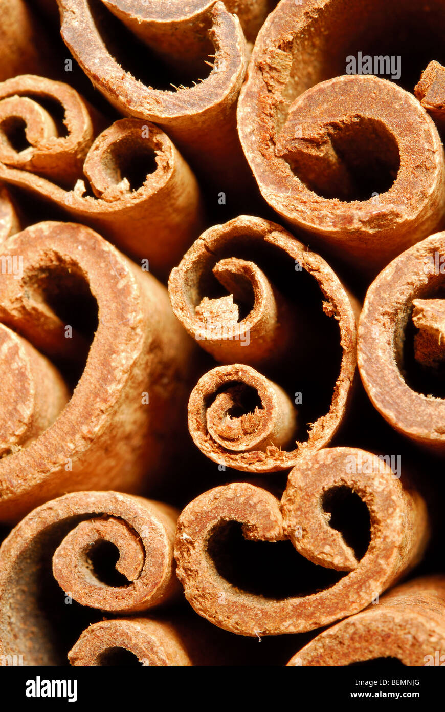Cinnamon quills. Cinnamomum zeylanicum Stock Photo Alamy