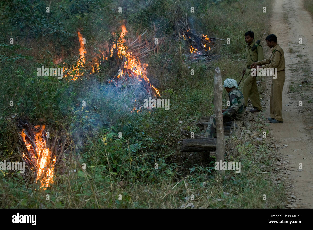 burning fire hazard bamboo in a controlled way, Khana National Park