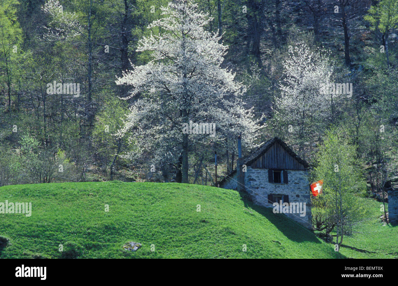 Old house with swiss flag, Val Lavizzara, Valle Maggia, Ticino, Switzerland Stock Photo