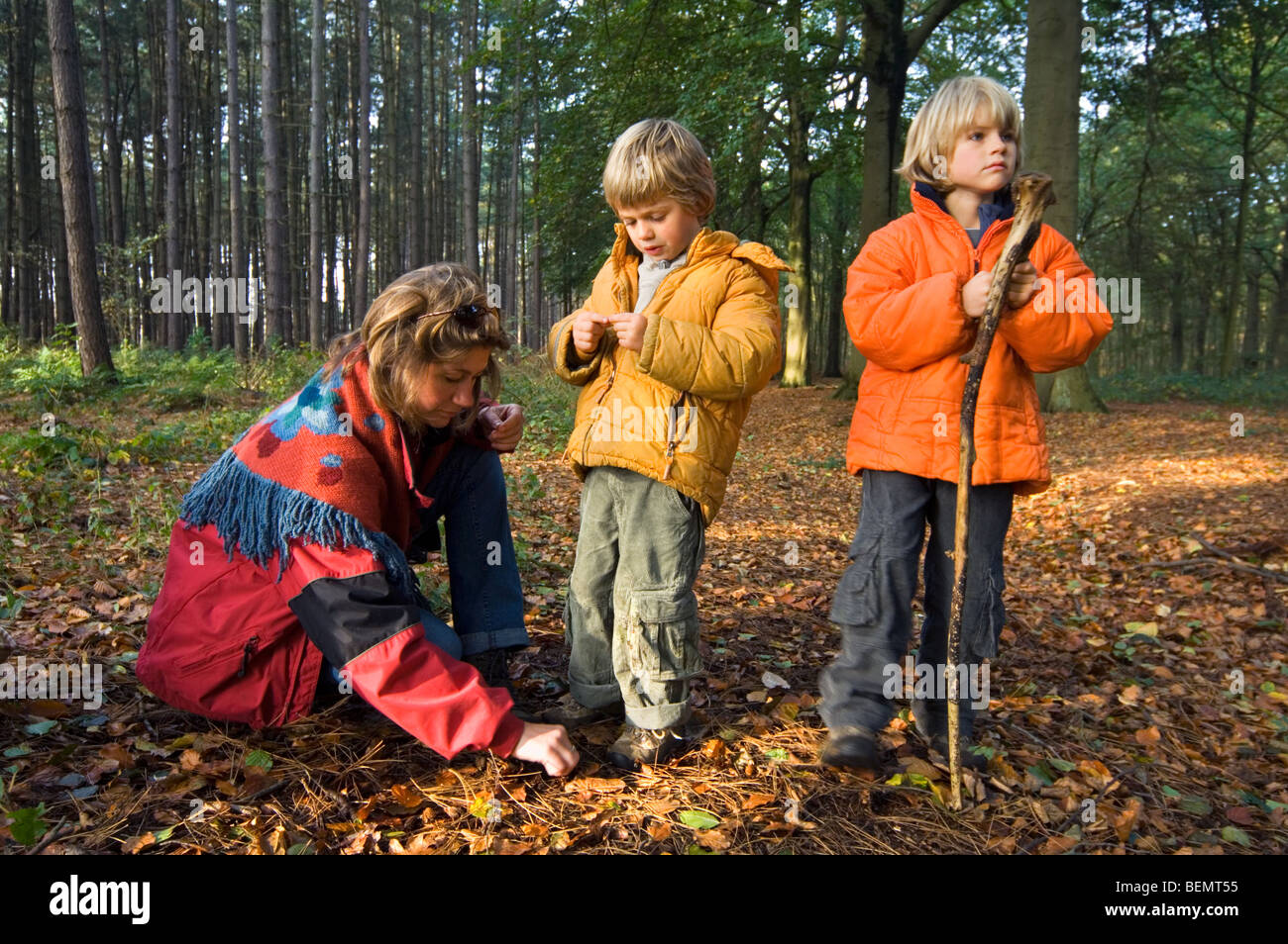 Mother learning children about nature in forest, Belgium Stock Photo