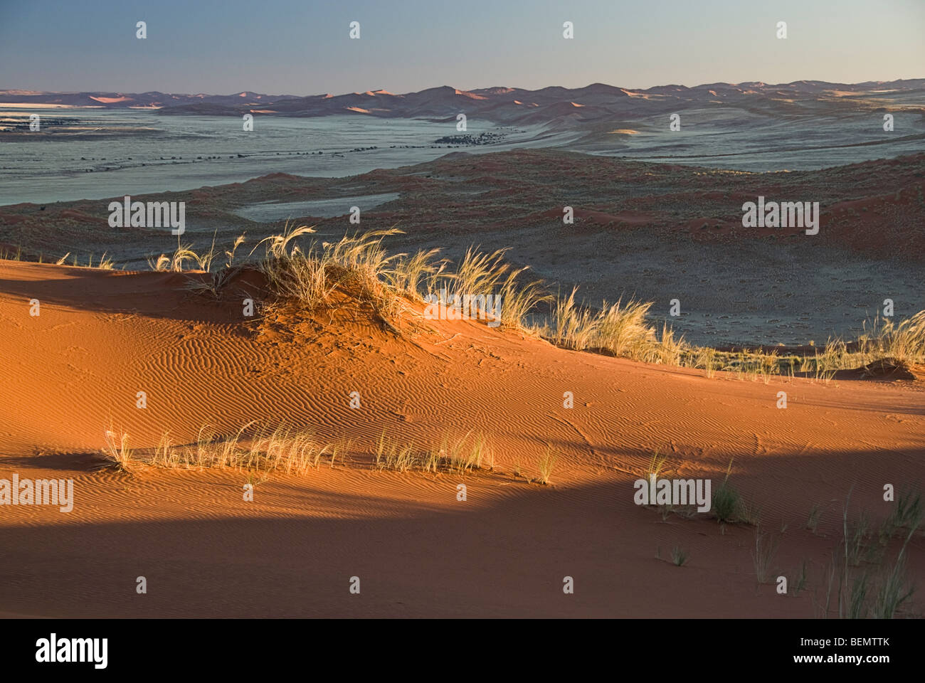 Desert landscape from the top of the Elin Dune, Namib  Naukluft National Park,Sossusvlei, Namibia, Africa. Stock Photo