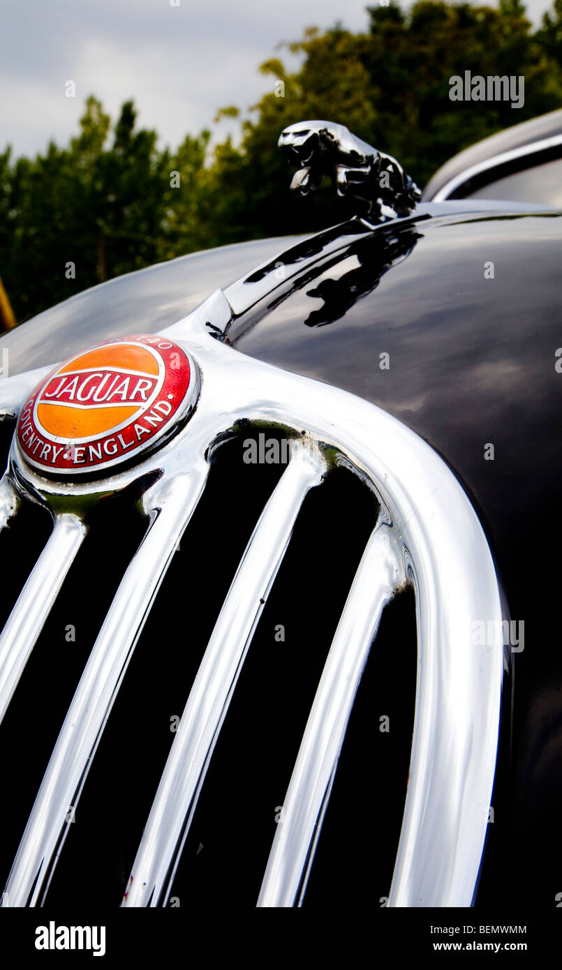 Jaguar Badge & Mascot Stock Photo