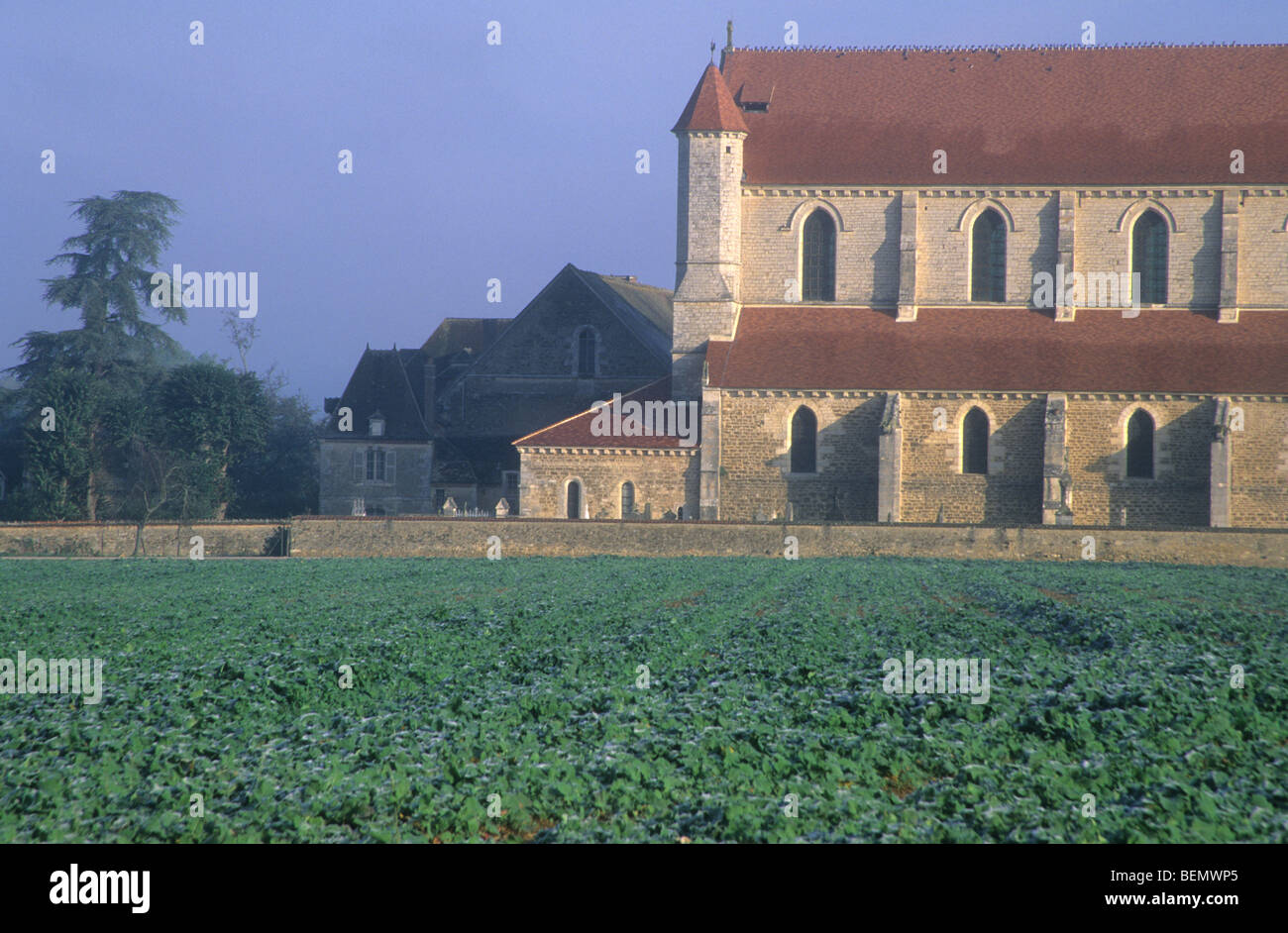 Field in front of abbey of Cistercians, Fontenay, Burgundy, France Stock Photo