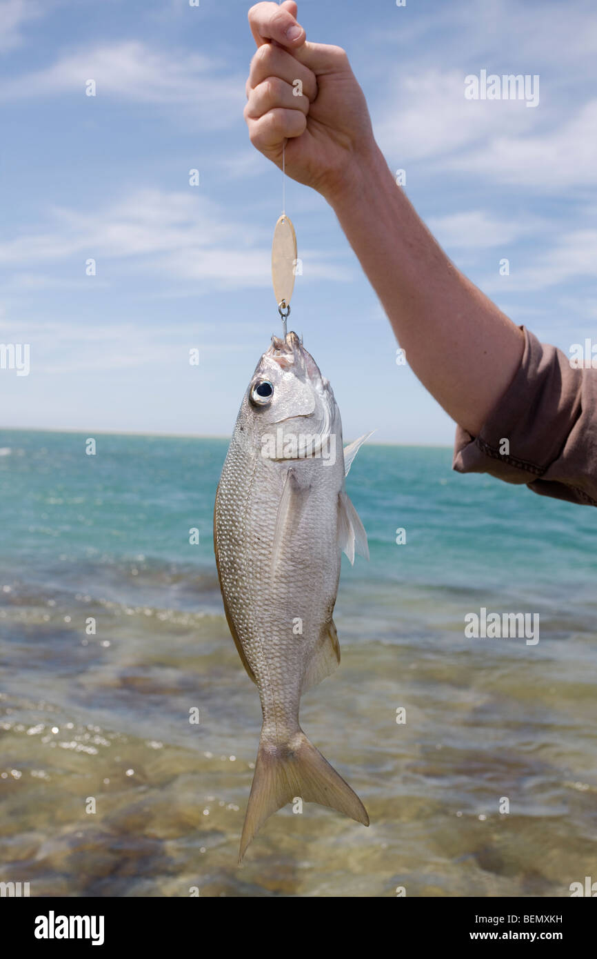 Fisherman holds up his catch Stock Photo