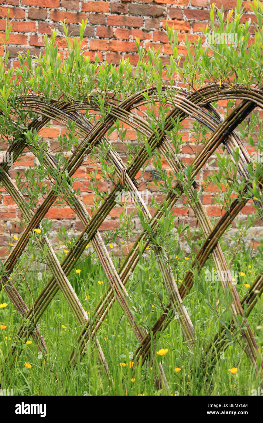 Woven willow screen fence, England UK Stock Photo