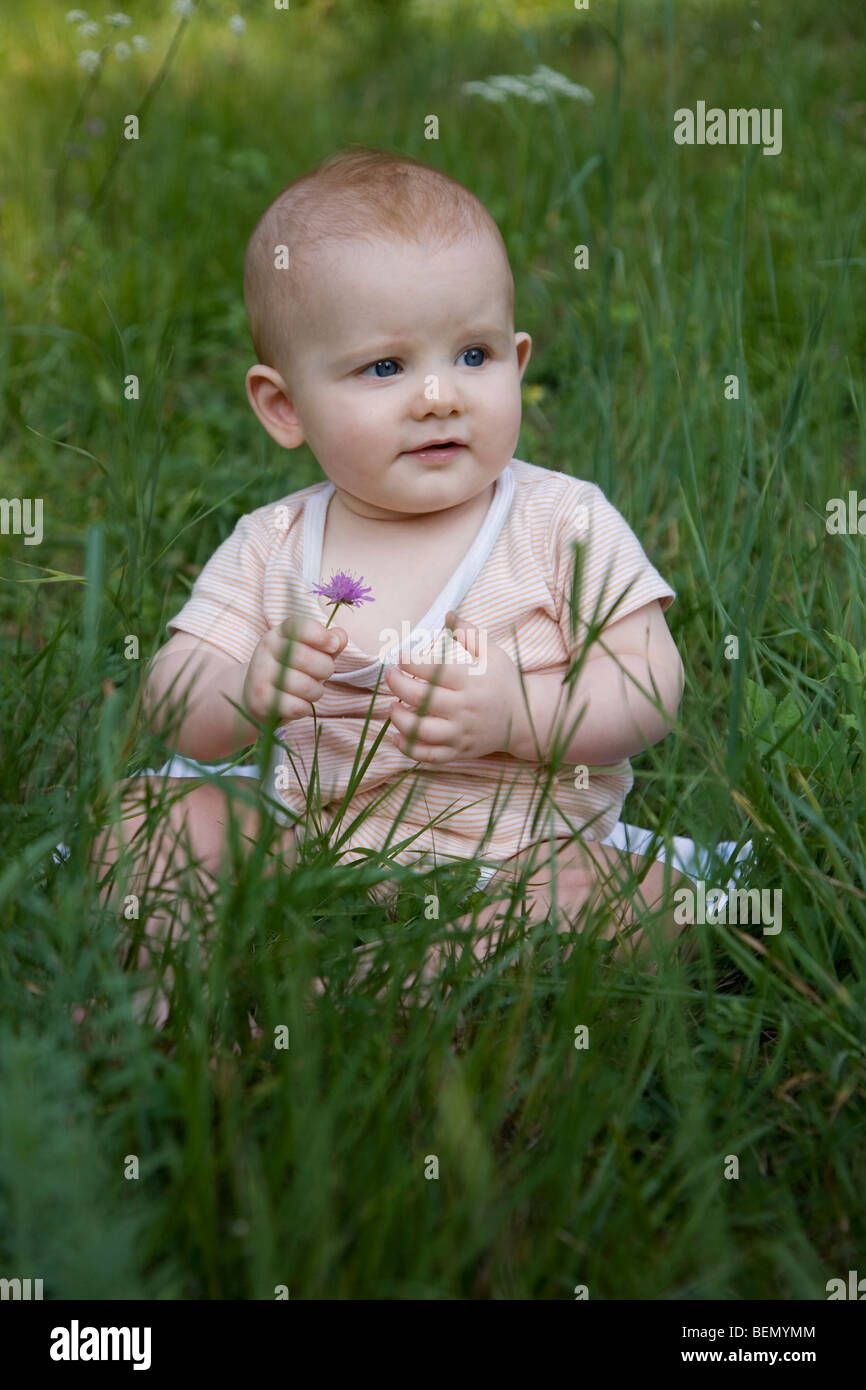 eightmonths old strawberryblond baby sitting on the meadow, holding a