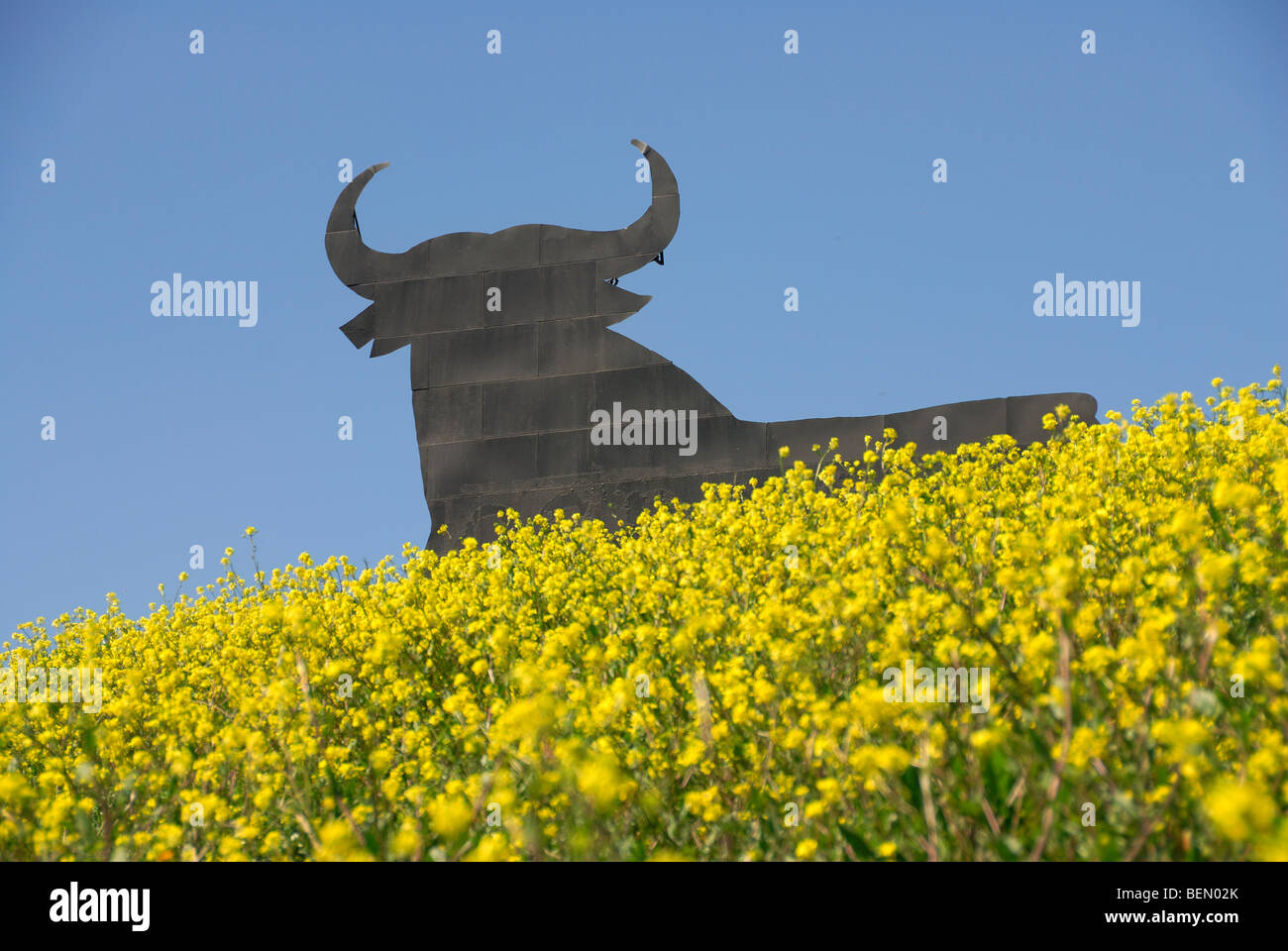 Osborne Bull blue sky yellow flowers symbol icon of Spain. Location