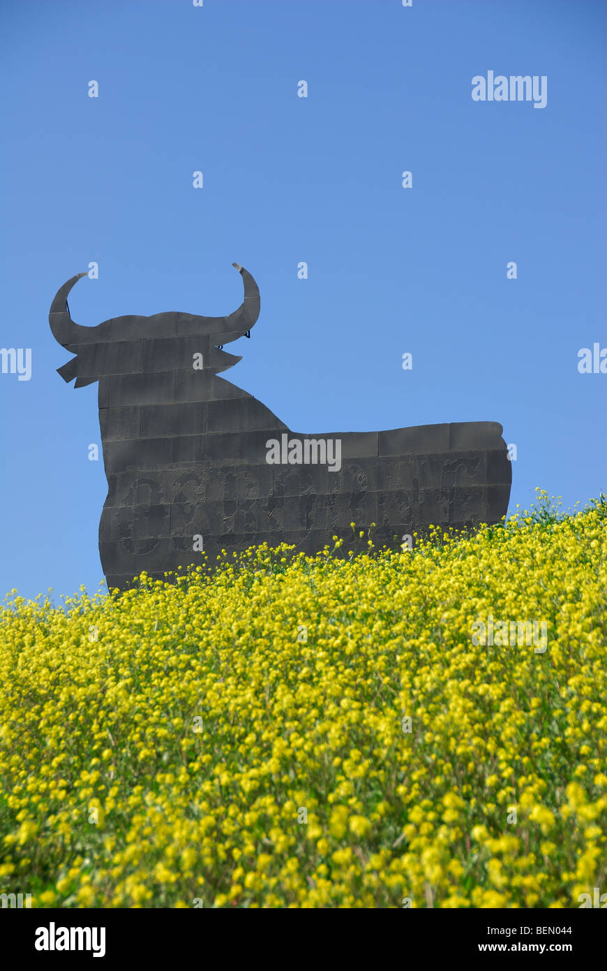 Osborne Bull blue sky yellow flowers symbol icon of Spain. Location