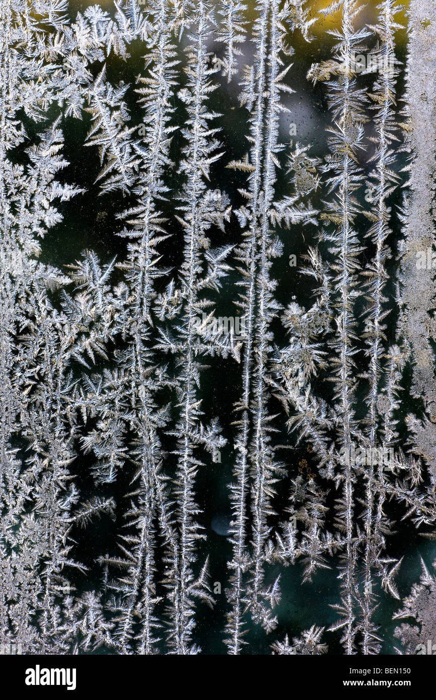 Ice crystals / frost flowers forming on frozen window pane during hoarfrost in cold winter Stock Photo