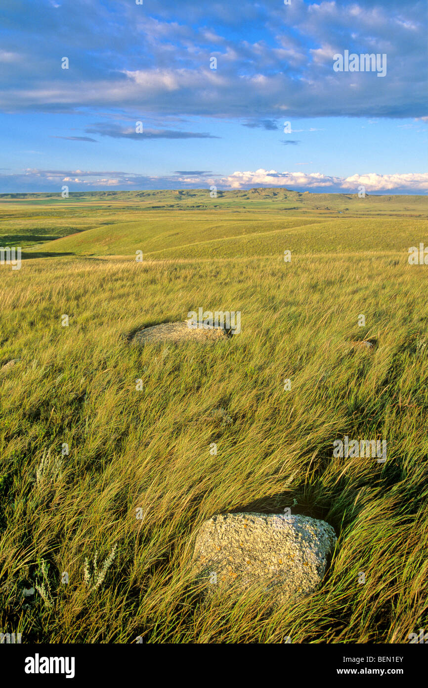 Prairie hills with glacial erratic rocks,Frenchman River Valley, Grassland National Park, Val Marie, Saskatchewan, Canada Stock Photo
