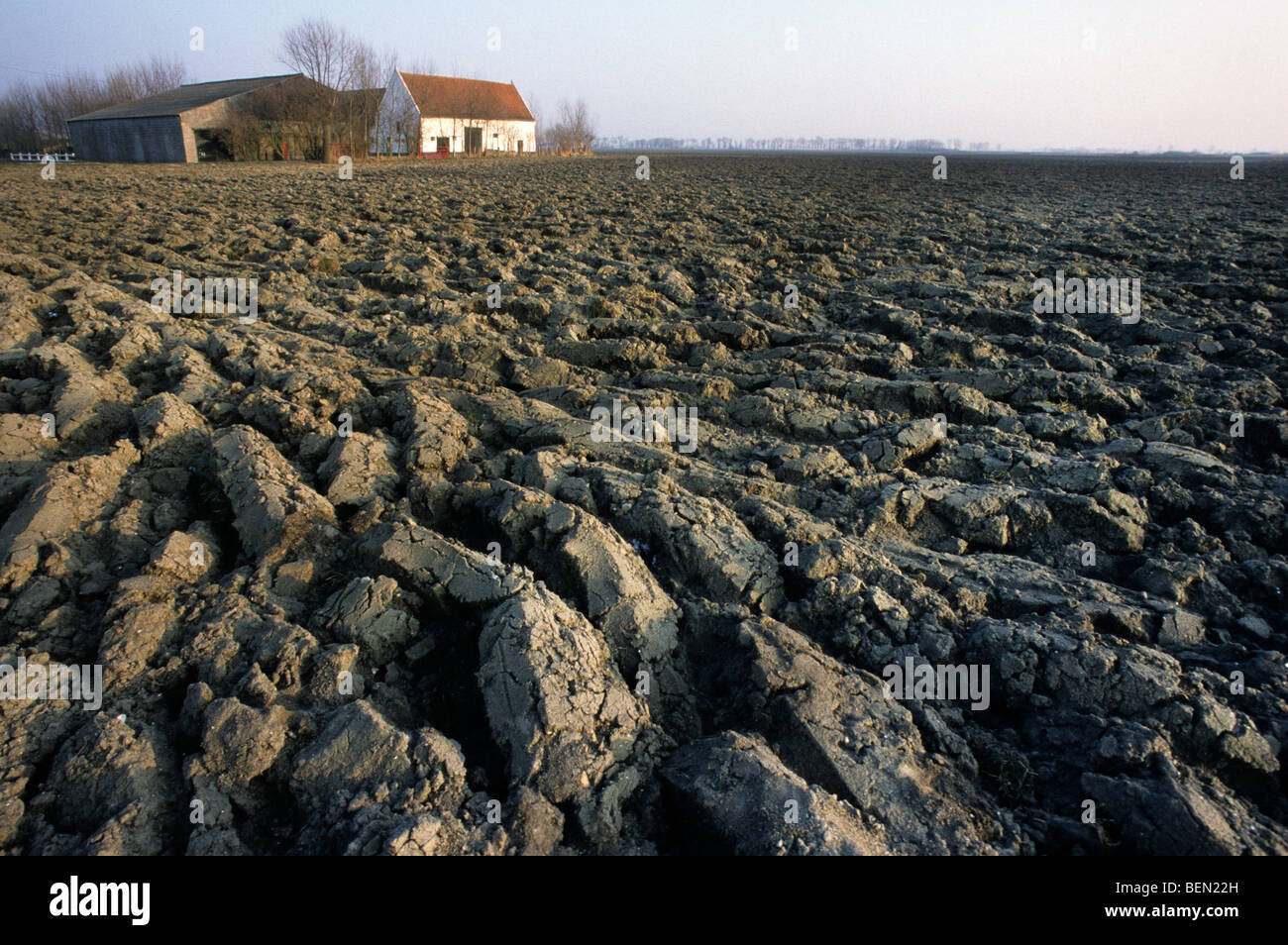 Farm and ploughed clay ground / polder, Belgium Stock Photo