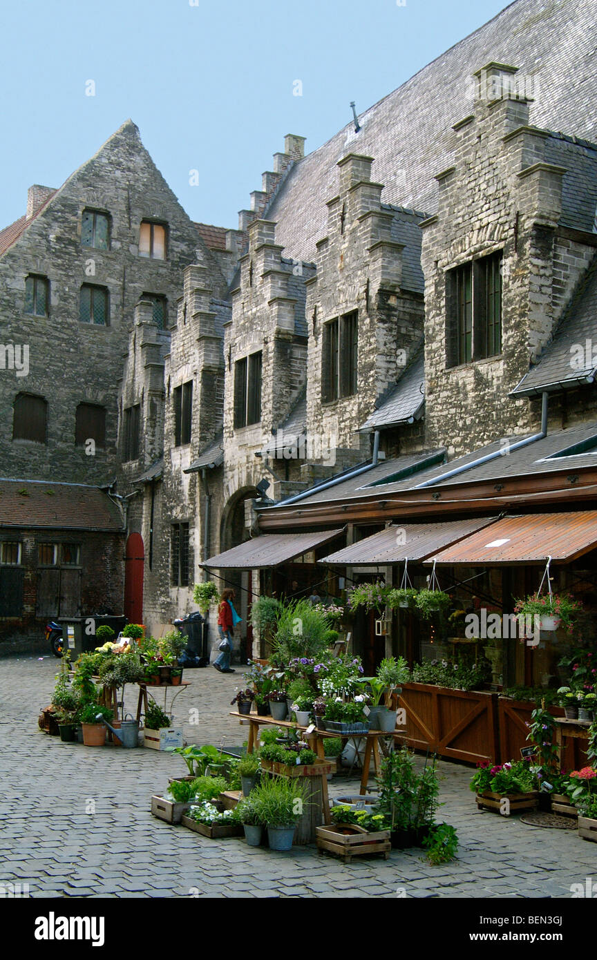 Flower shop at the Groot Vleeshuis, Ghent, Belgium Stock Photo Alamy