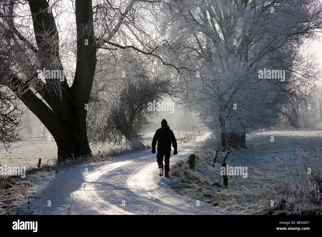 Walker in winter landscape covered in hoarfrost, Scheldt valley, Belgium Stock Photo