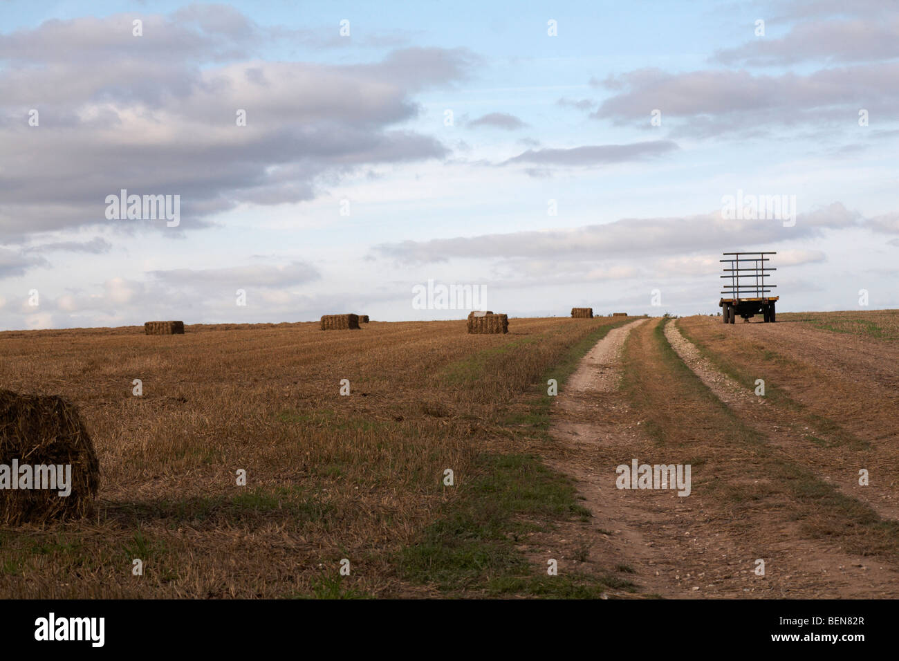 bales of hay and wagon in fields in the evening at Wimborne in August Stock Photo