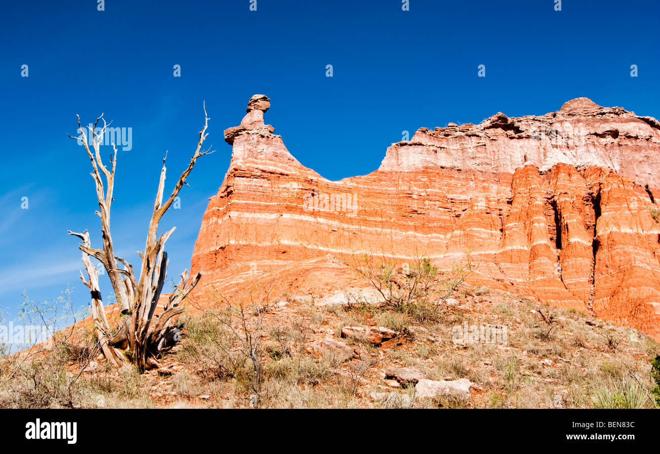Hoodoo at Capitol Peak in Palo Duro Canyon State Park in Texas Stock
