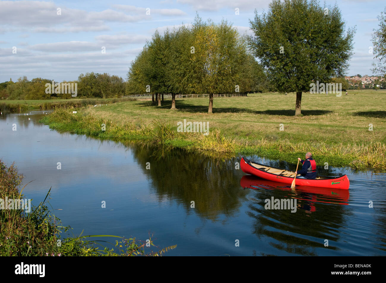 A man canoing along the River Stour at Sudbury, Suffolk, England. Stock Photo