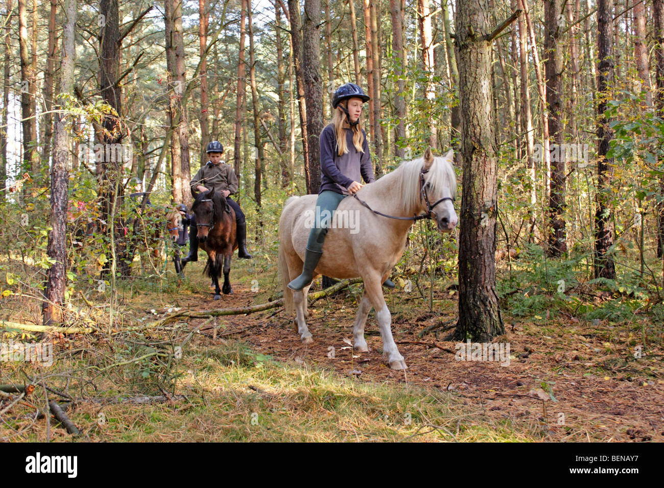 children riding on their ponies through a forest Stock Photo - Alamy