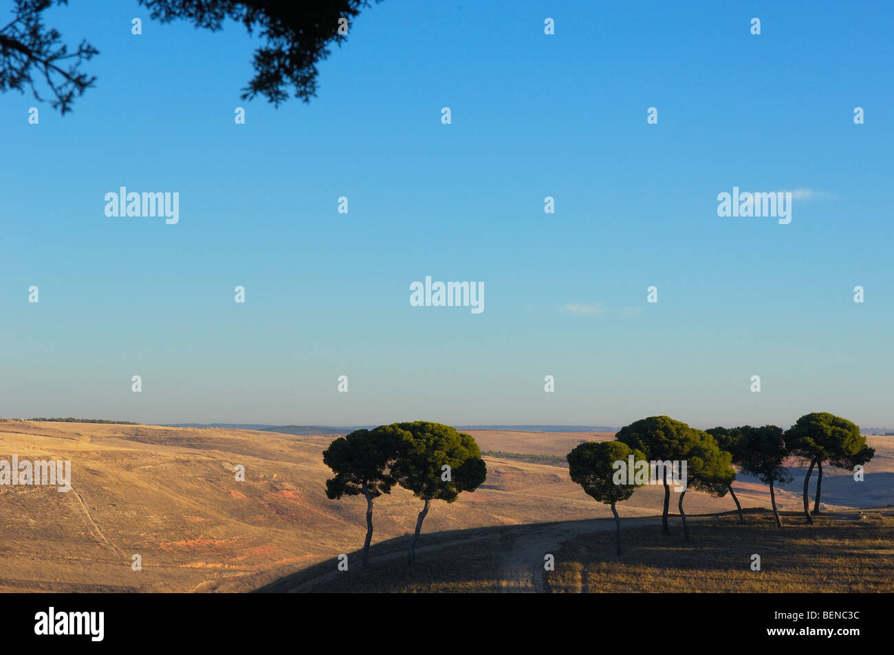 Landscape near Belmonte. Cuenca province, Castilla- La Mancha. Spain Stock Photo