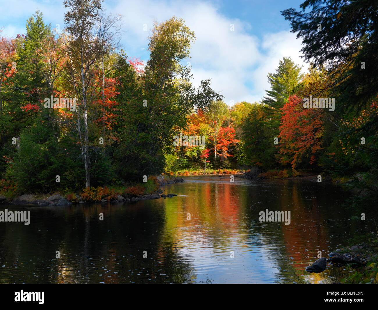 Oxtongue river. Beautiful fall nature scenery. Algonquin, Muskoka, Ontario, Canada. Stock Photo