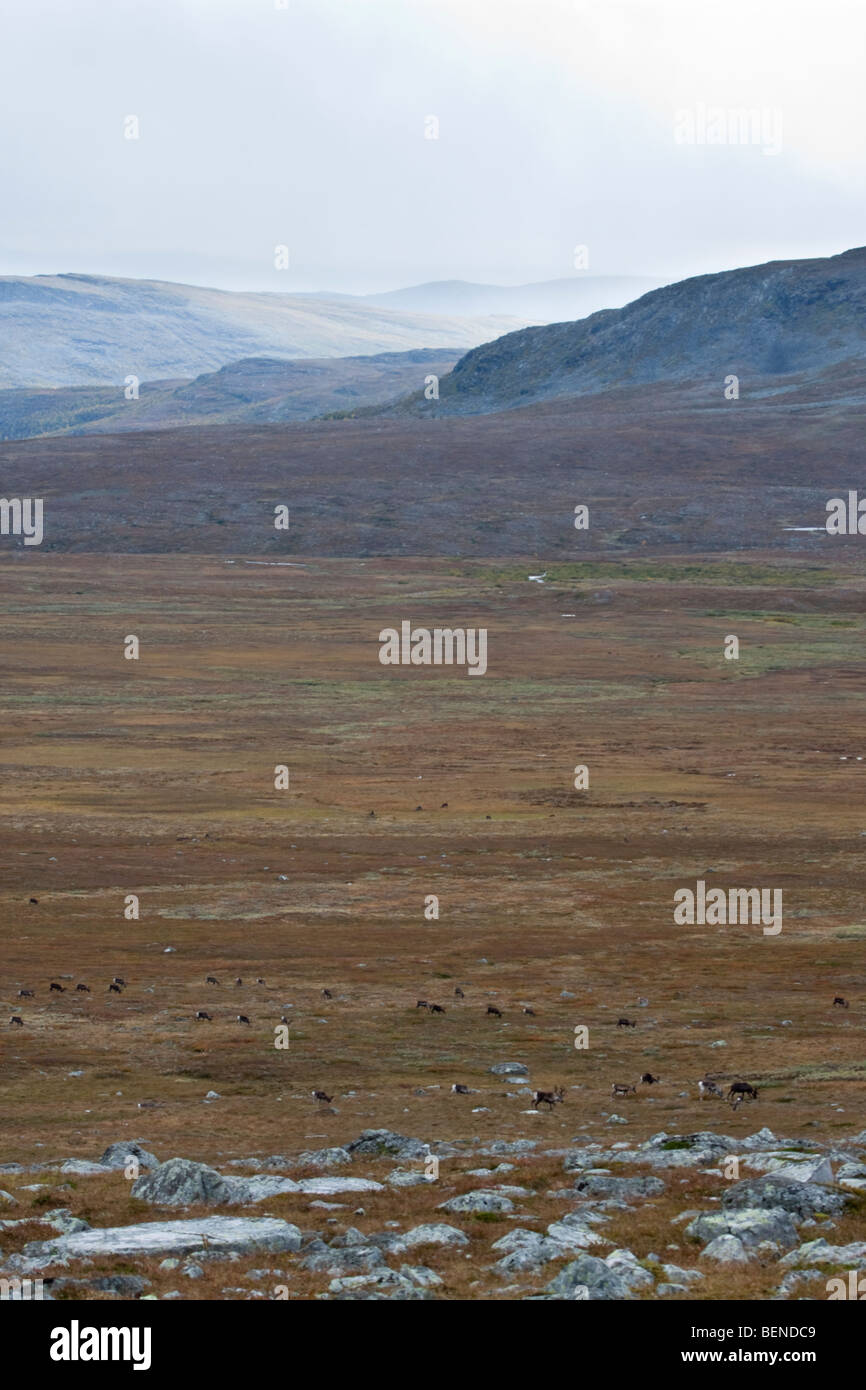 Sarek National Park Stock Photo - Alamy