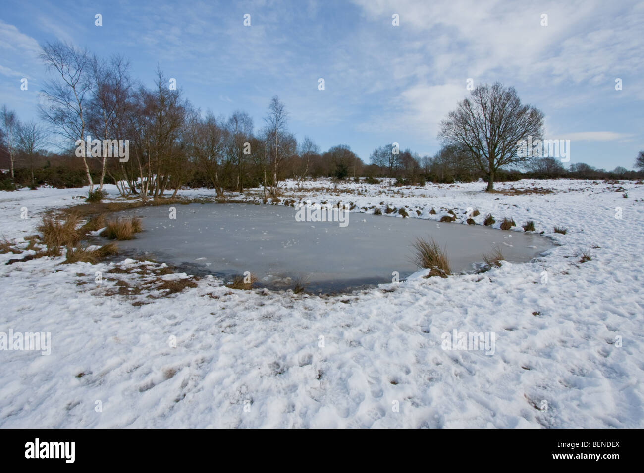 Frozen pond and snow covered landscape in Surrey after heavy snow in February 2009 Stock Photo
