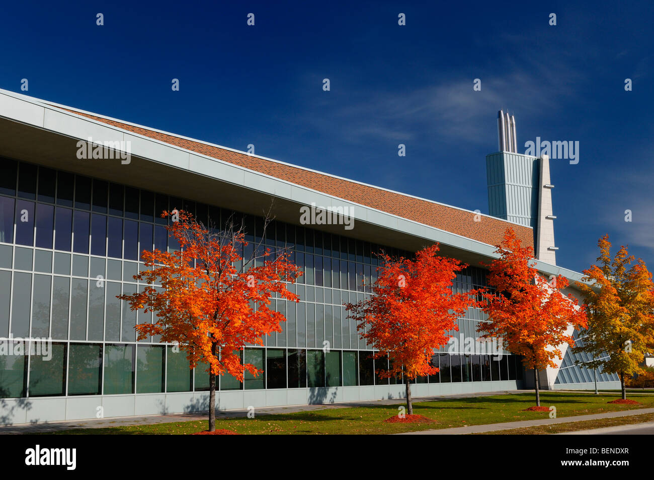 Red maple trees and modern architecture of Seneca College York University Stephen E Quinlan Building in the Fall Stock Photo