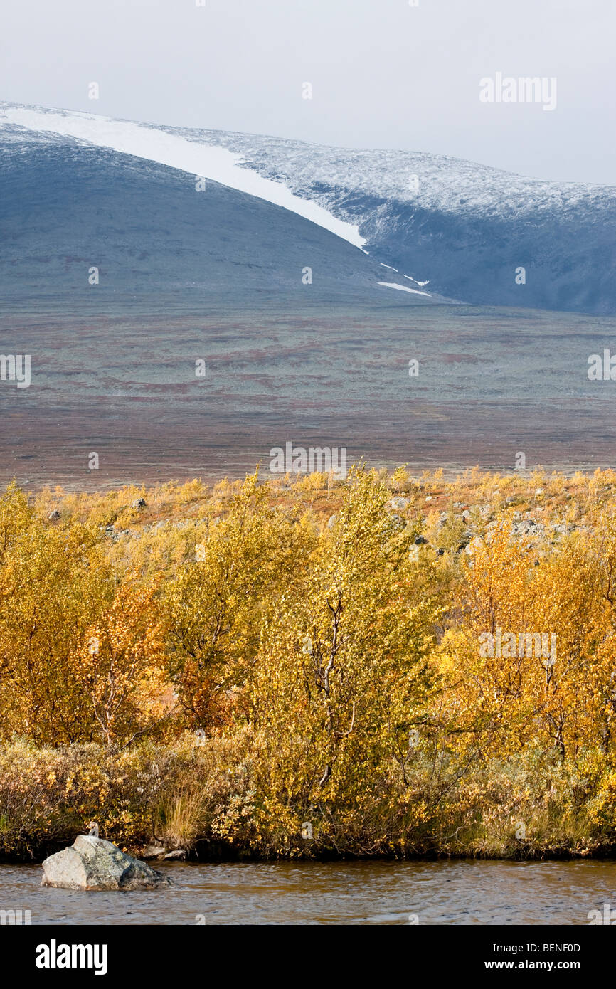 Sarek National Park Stock Photo - Alamy