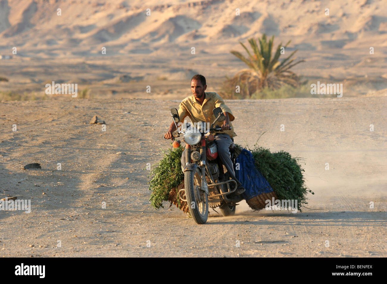 Egyptian man riding motorcycle packed with merchandise, Bahariyya Oasis
