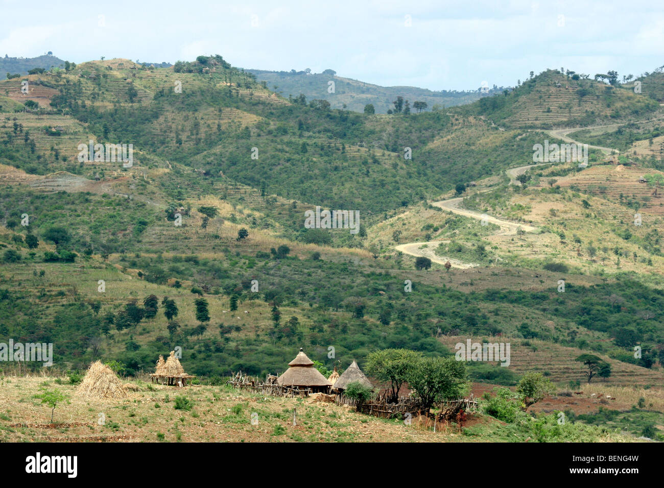 Agriculture showing farmland with fields and primitive huts in the