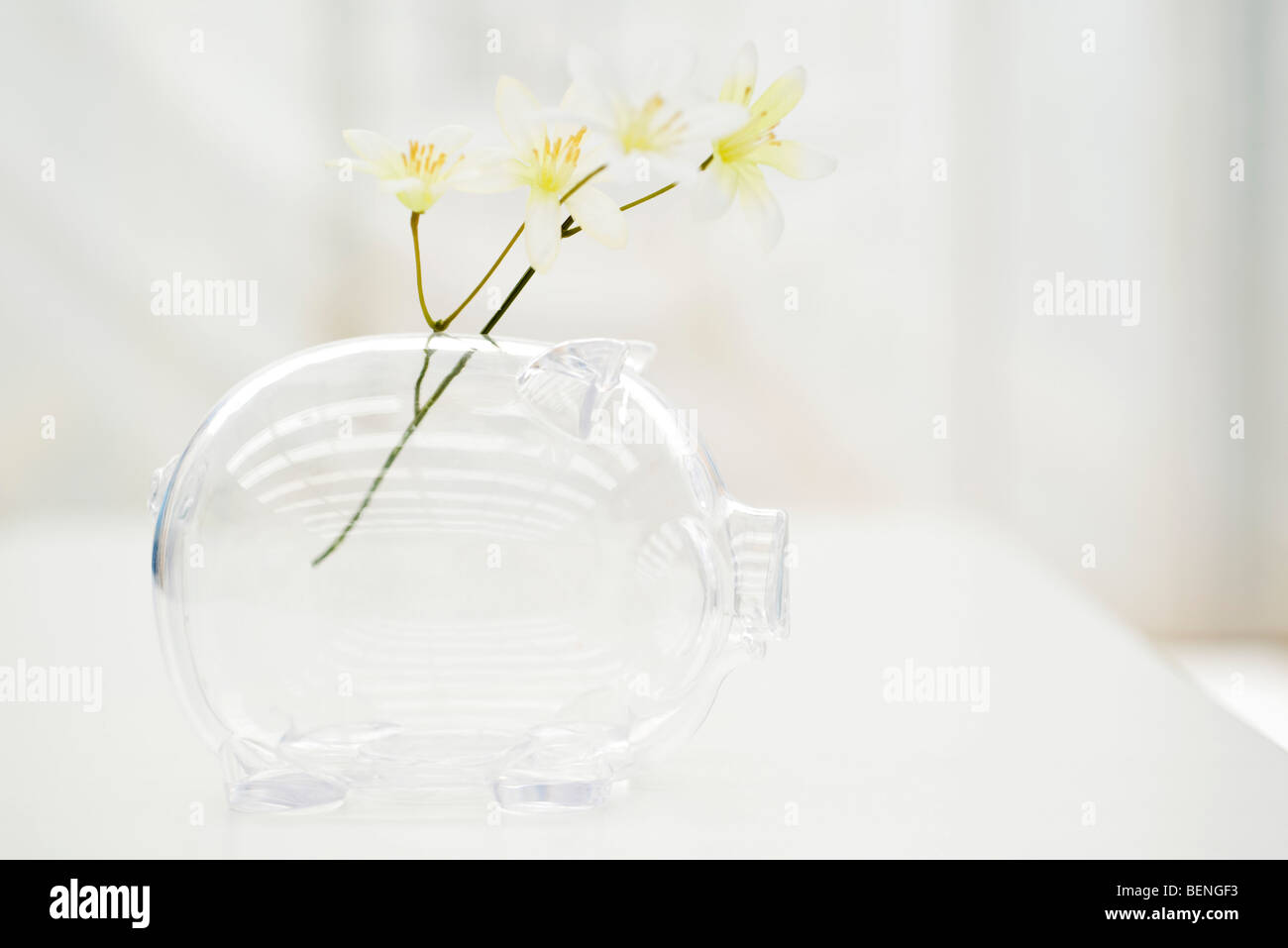 Flowers in piggy bank Stock Photo - Alamy
