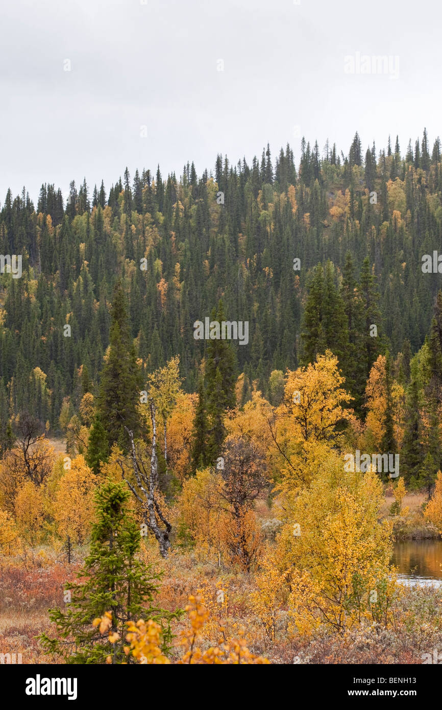 Sarek National Park Stock Photo - Alamy