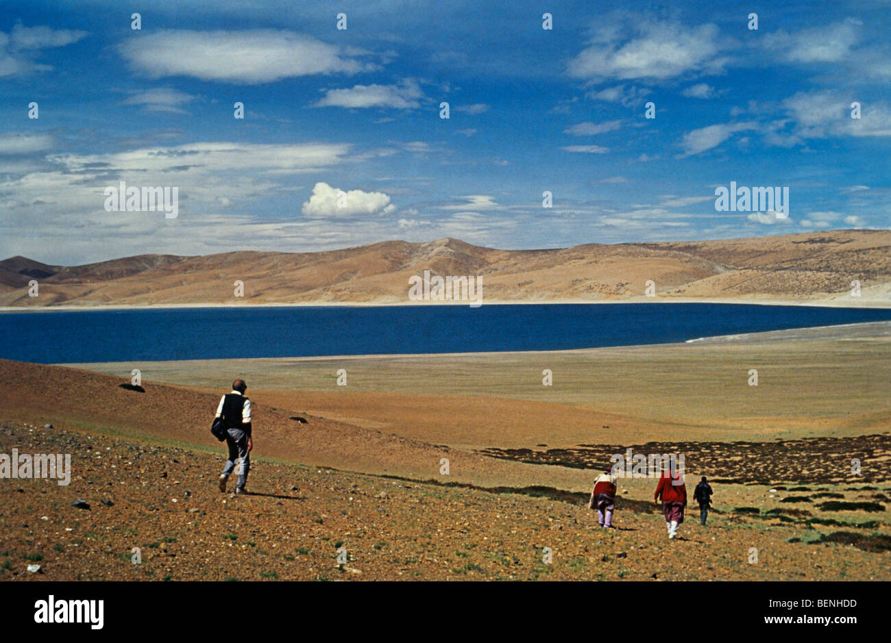 Mansarovar Lake Tibet Stock Photo Alamy
