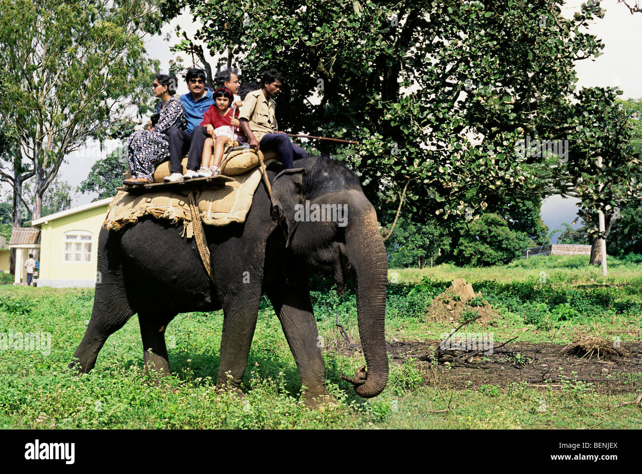 Tourists enjoying an elephant ride at Bandipur Karnataka India Stock