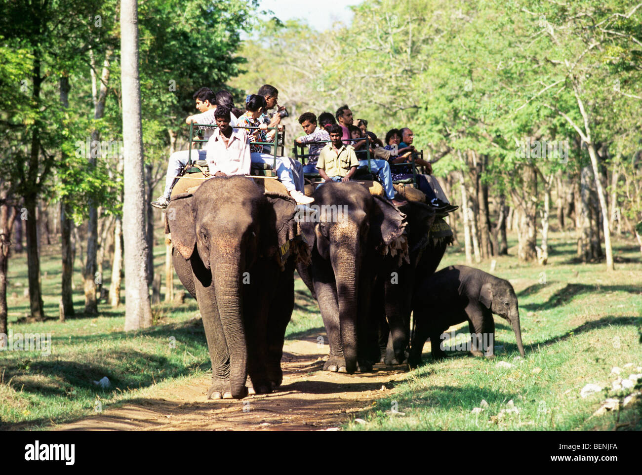 Tourists enjoying an elephant ride at Nagarahole National Park