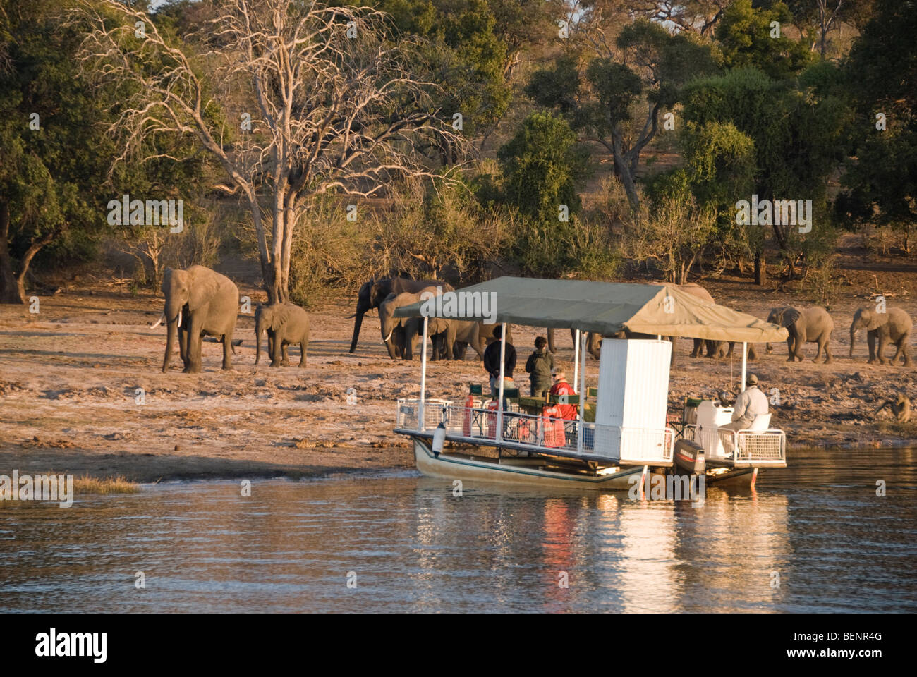 People watching elephants from a boat on the Chobe river. Chobe ...