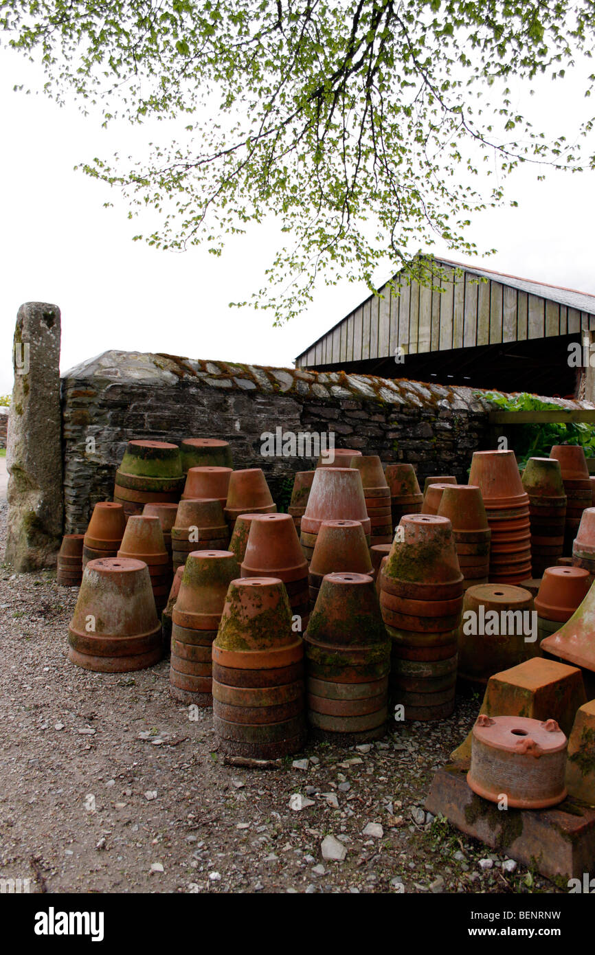 English Garden Pots at Helen Terpstra blog
