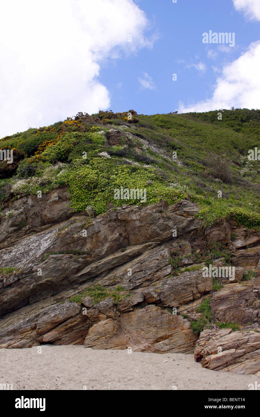 CORNISH BEACH AND CLIFF AT PENTEWAN. CORNWALL UK Stock Photo Alamy