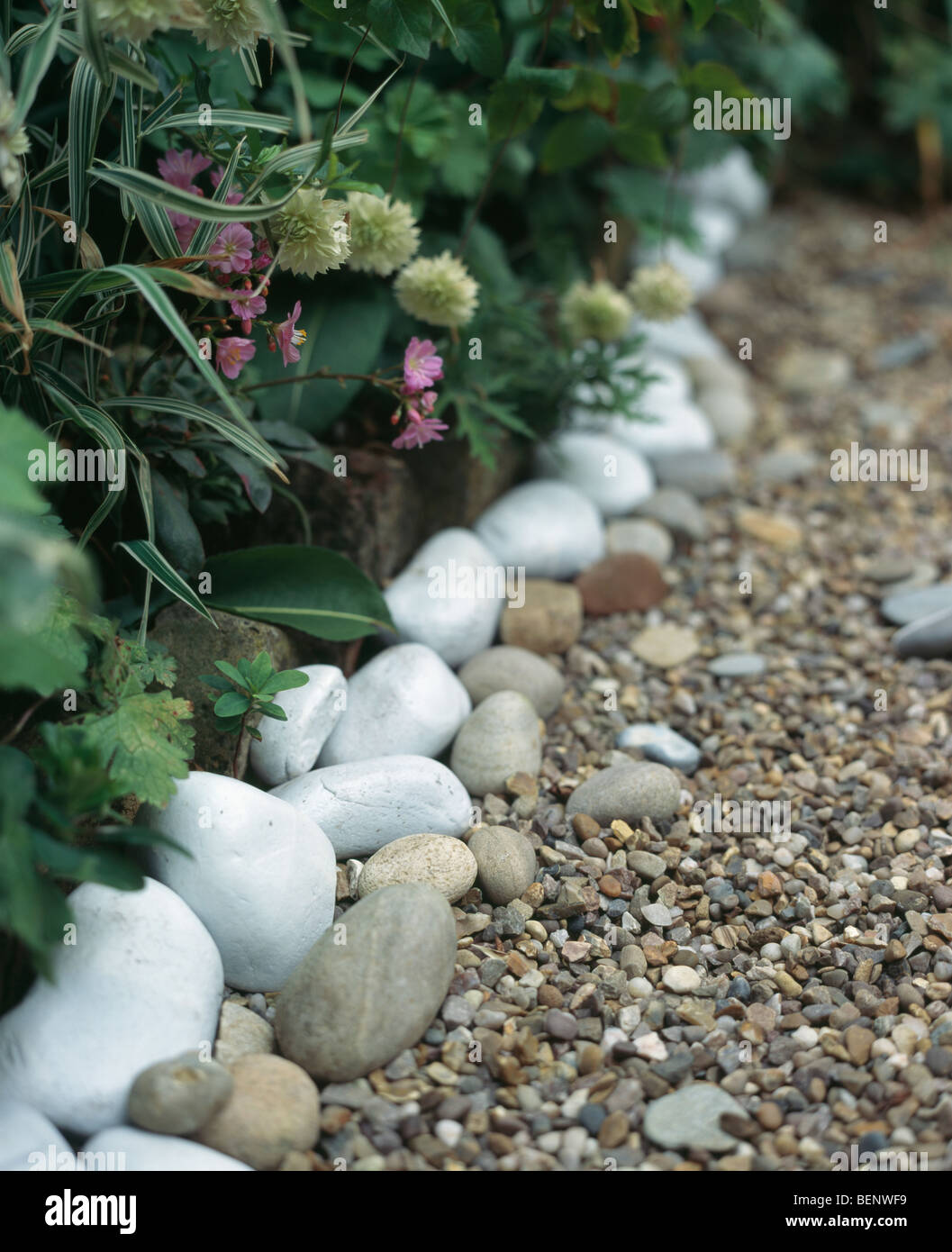 Closeup of pebble edging beside gravel path Stock Photo Alamy