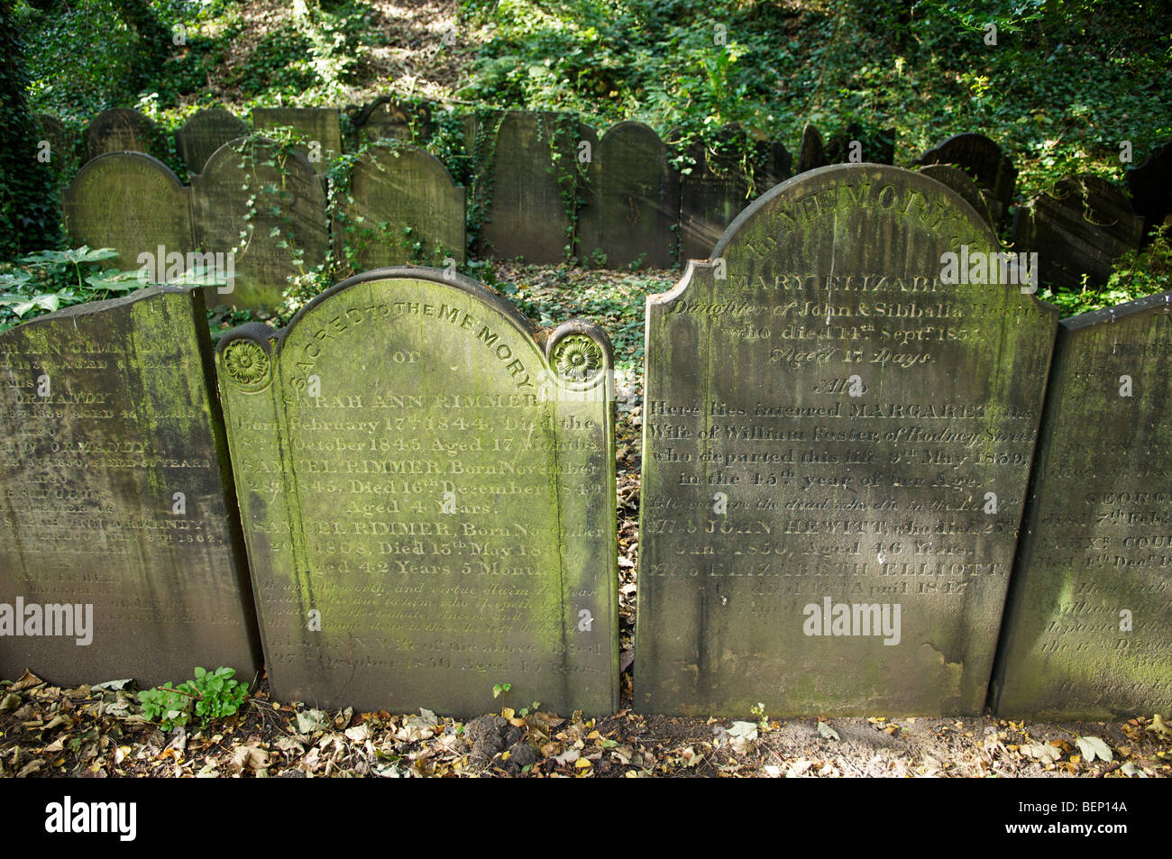 Liverpool City centre St James' garden Stock Photo - Alamy