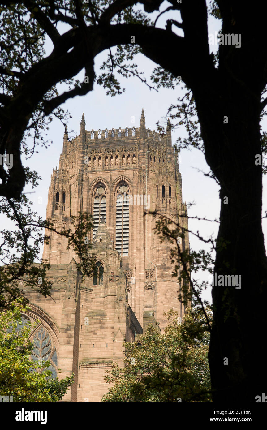 Anglican cathedral liverpool Stock Photo