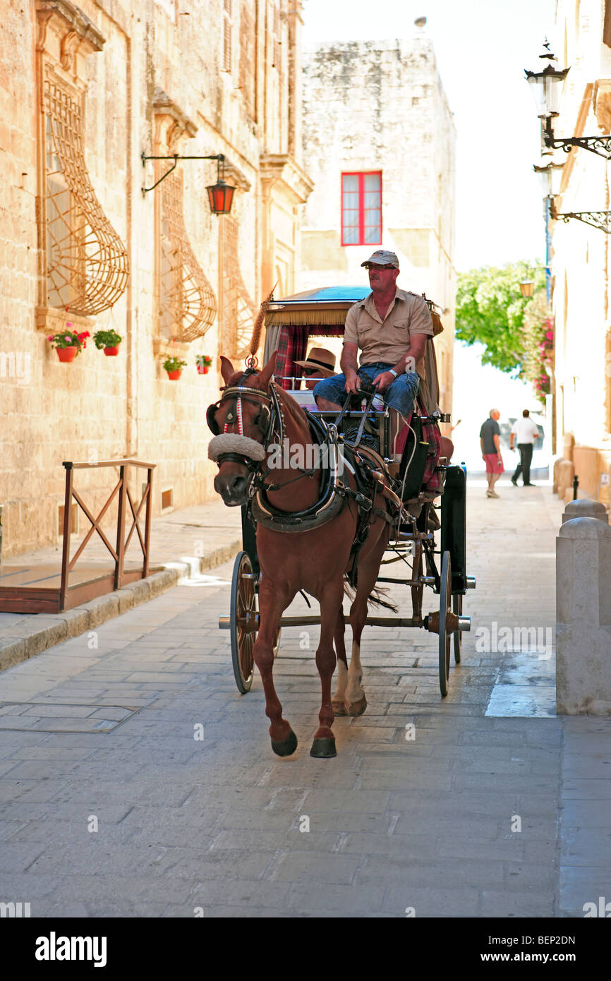 Maltese horse and carriage, karozzin, in Villegaignon Street, Mdina