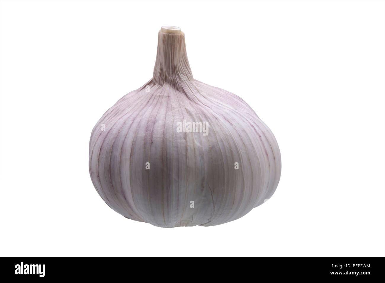 Fresh Garlic bulb isolated against white background Stock Photo